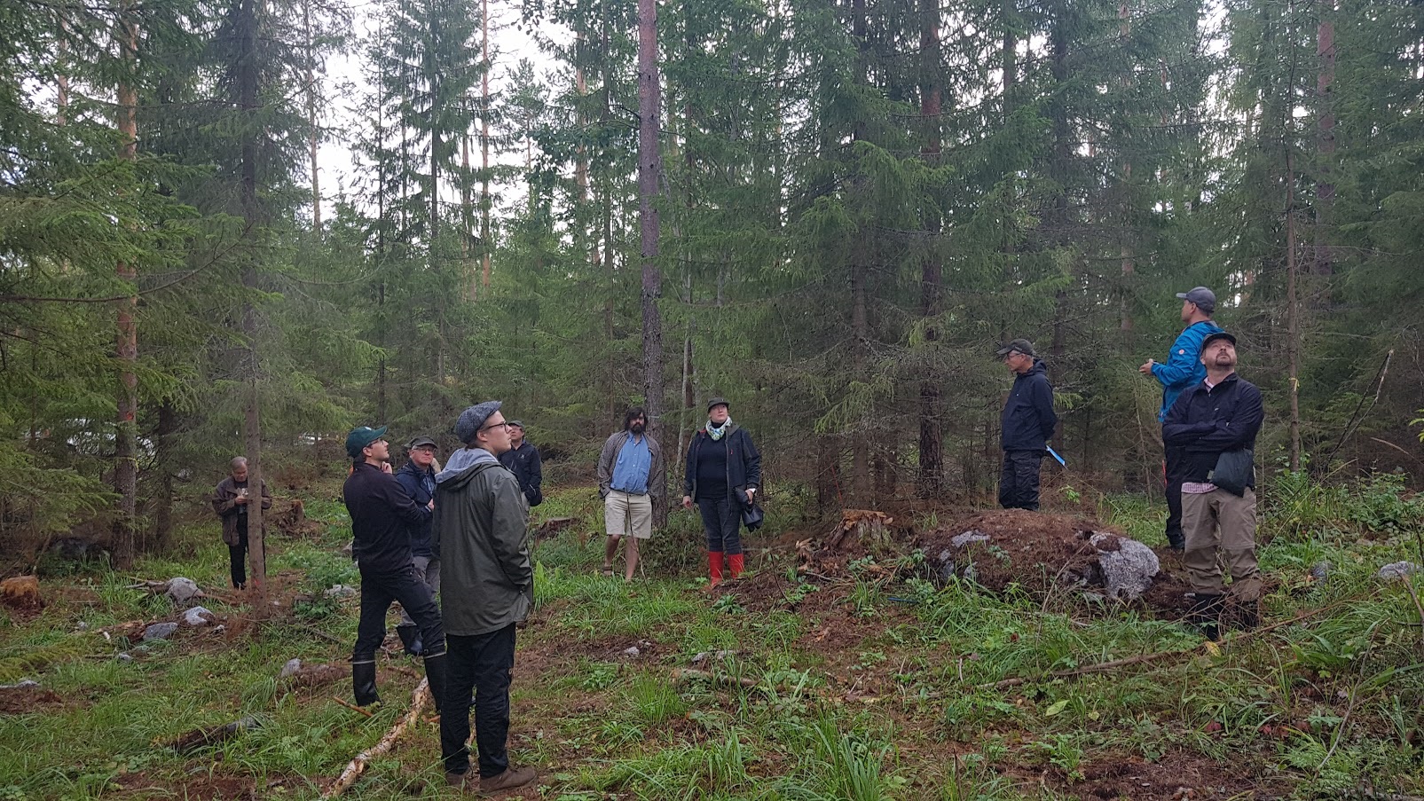 Katsaus jatkuvaan kasvatukseen ja luonnonhoitoon - Metsä-ELO - Tapio