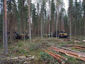 Metsäkoneita ja ihmisiä metsässä