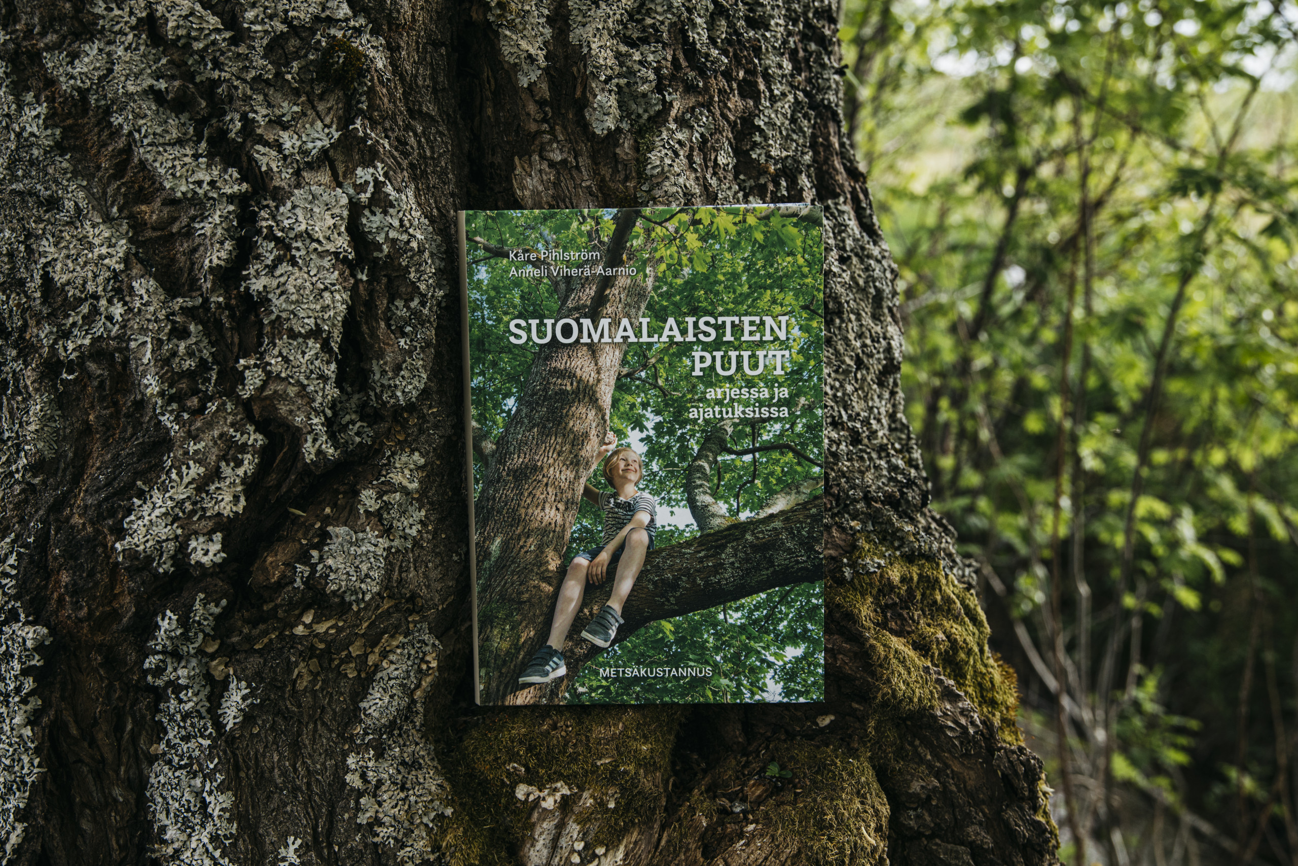 Suomalaisten puut -kirja kuvattuna metsäisessä maisemassa