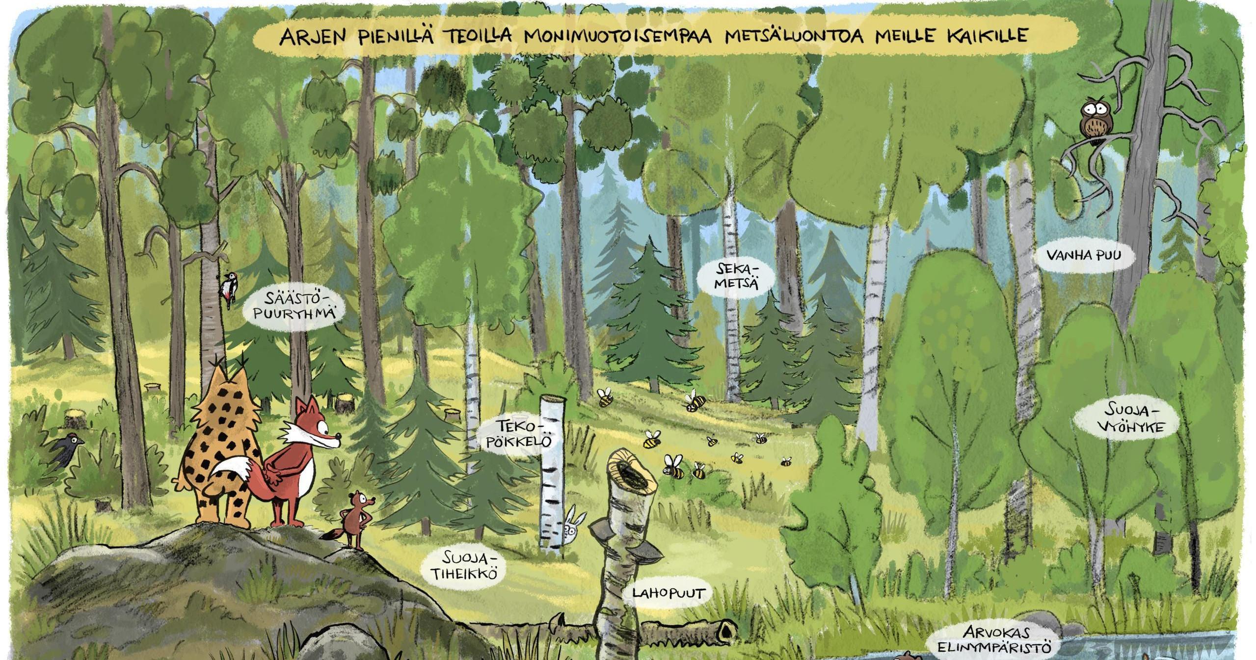 Kettu ja Ilves katselevat talousmetsää, josta löytyy mm. säästöpuuryhmä, tekopökkelö ja suojavyöhyke. Kuvassa lukee: "Arjen pienillä teoilla monimuotoisempaa metsäluontoa meille kaikille."
