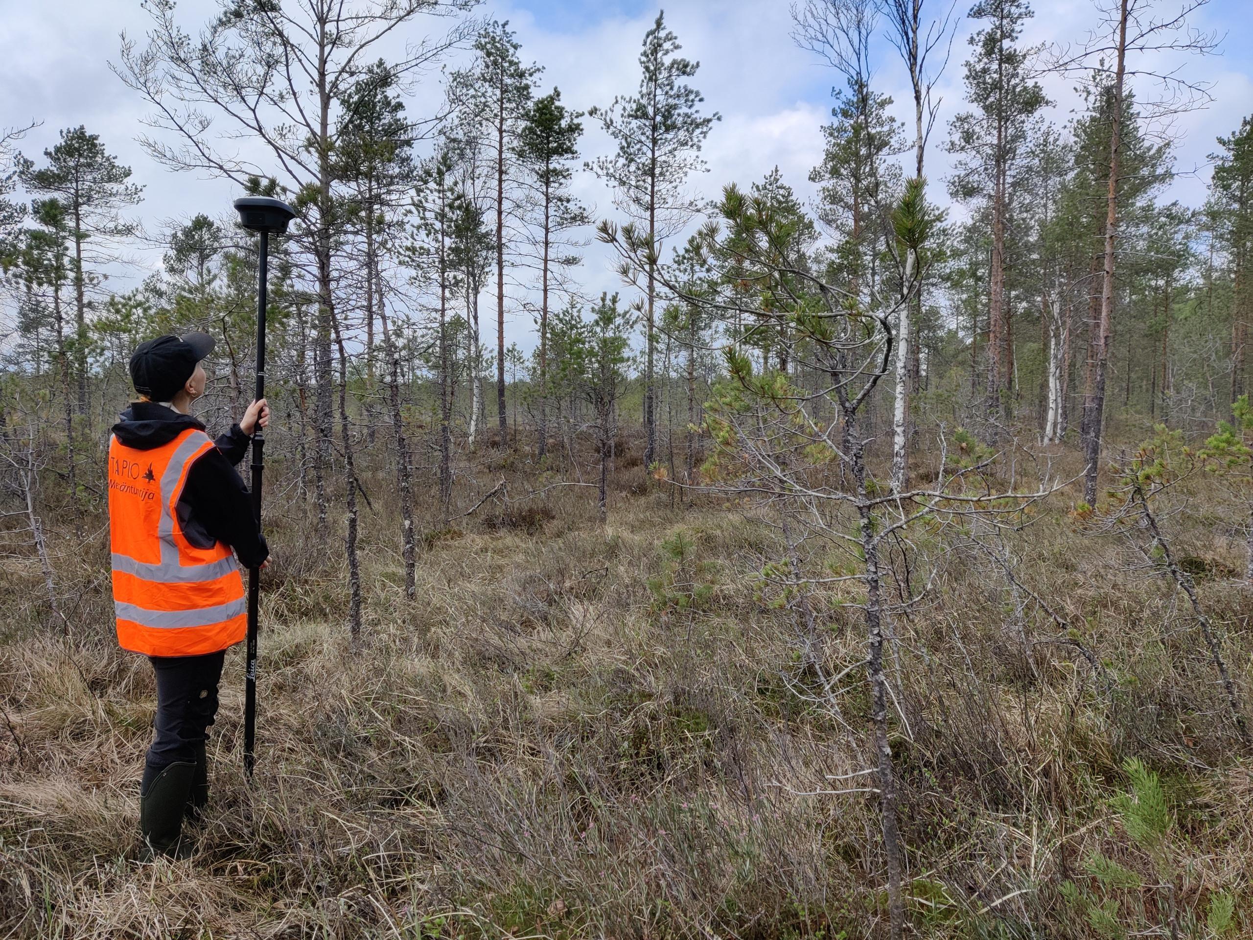 Tapion asiantuntija vesienpalautuksen maastotöissä