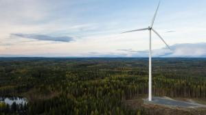 tuulivoimala metsässä