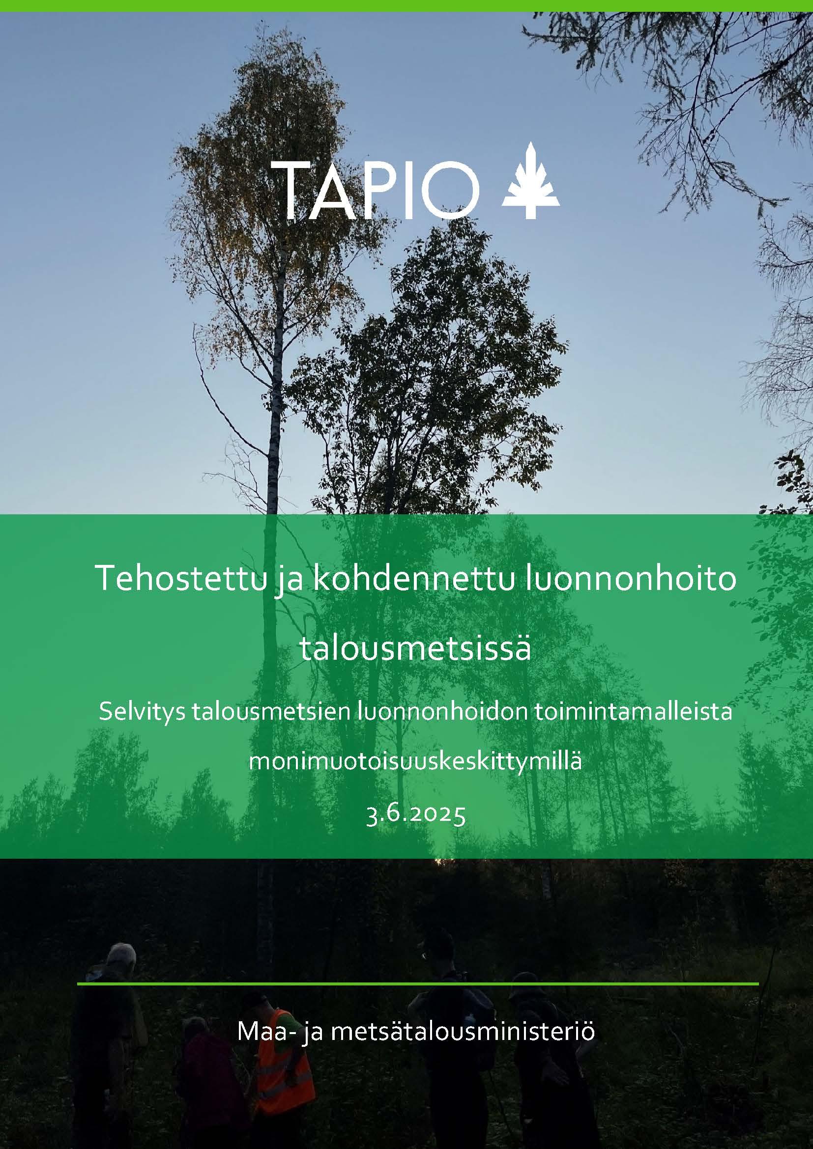 Raportin kansikuva