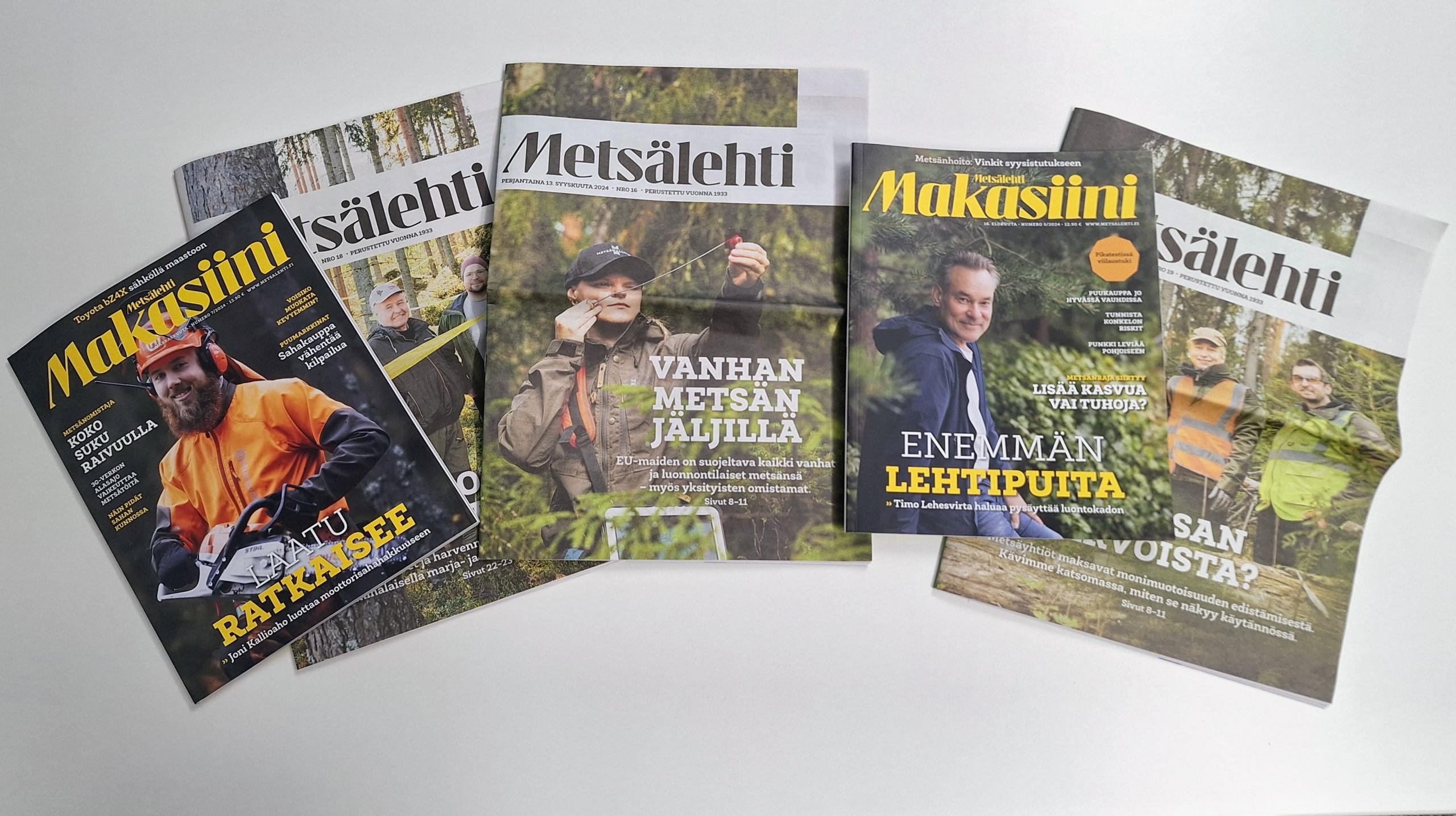 Metsälehtiä