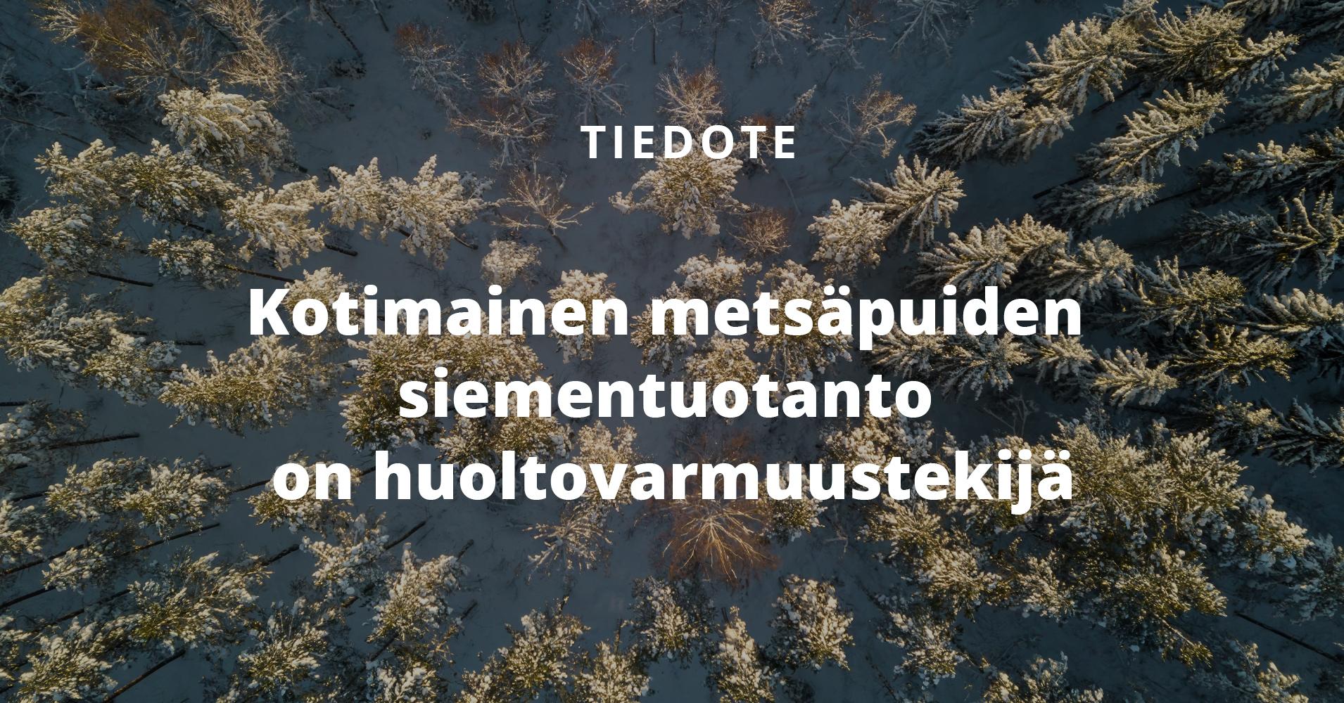 Kotimainen Mets puiden Siementuotanto On Huoltovarmuustekij Tapio kotimainen-mets-puiden-siementuotanto-on-huoltovarmuustekij-tapio