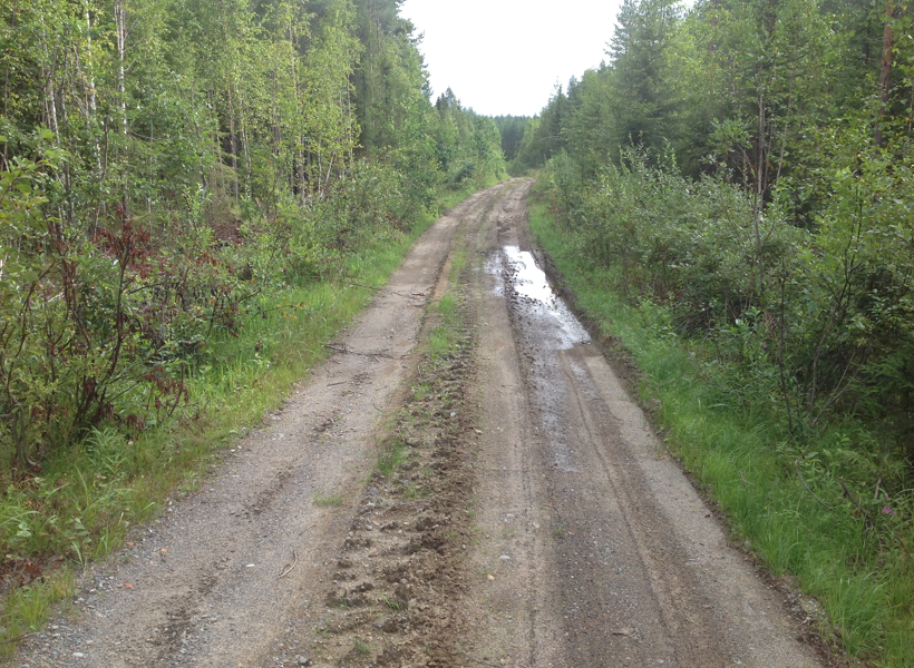 metsätie halkoo talousmetsää
