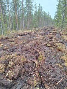 tukittu ojalinja ennallistettavalla alueella