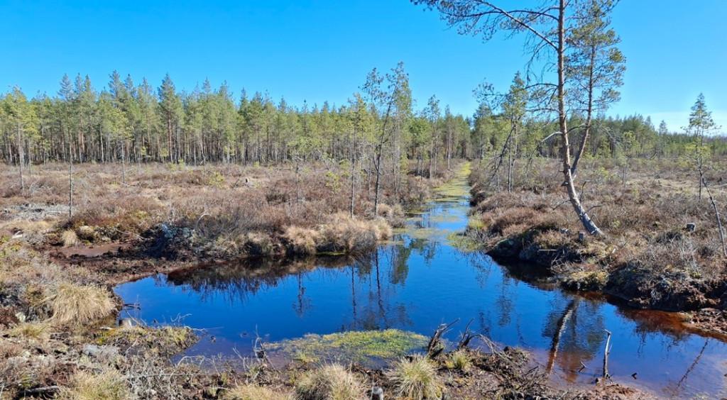 Sahannevan suomaisemaa