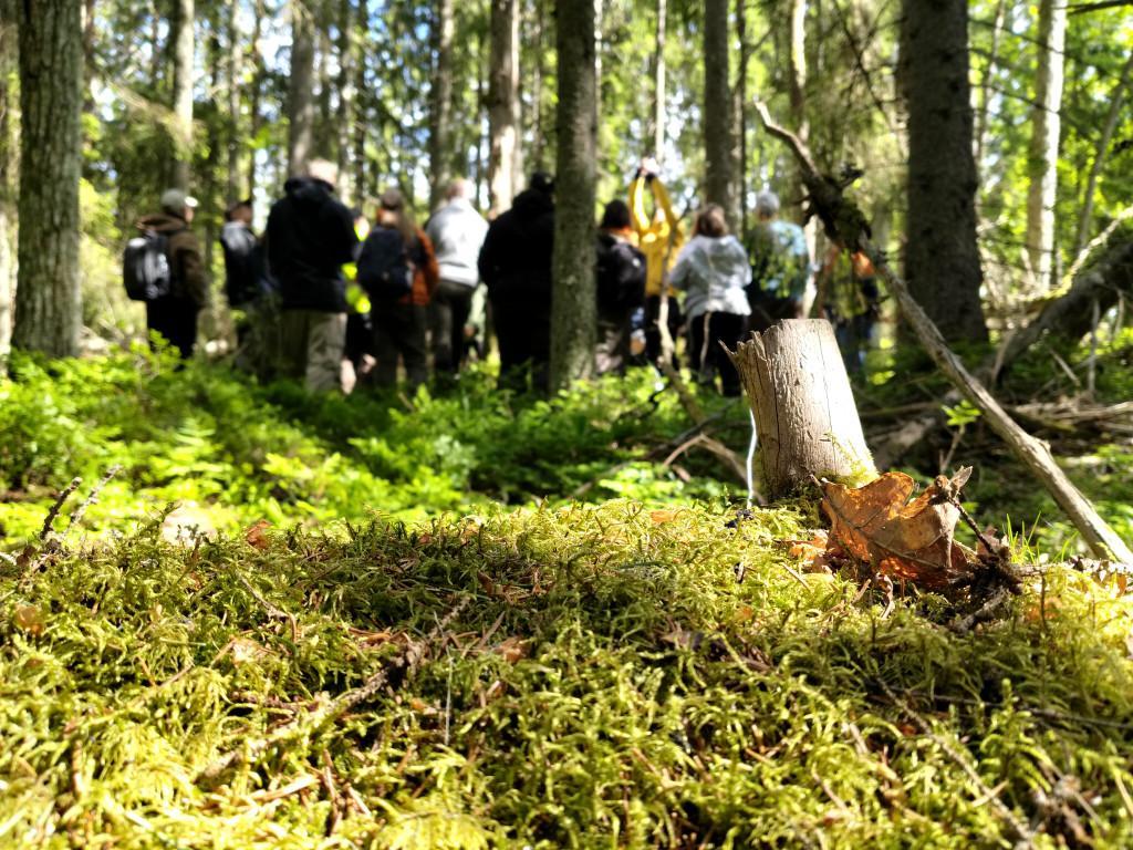 henkilöitä maastokoulutuksessa metsässä