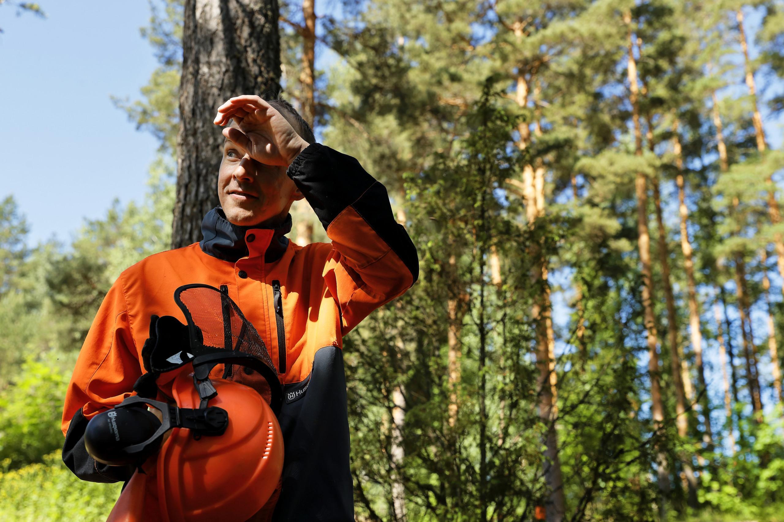 Henkilö pyyhkii hikeä metsätöissä