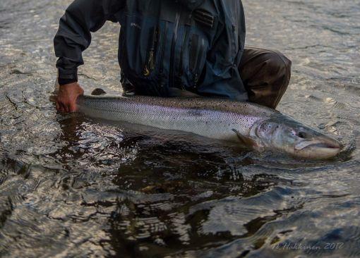 Kalastaja pitelee käsissään kalasaalista