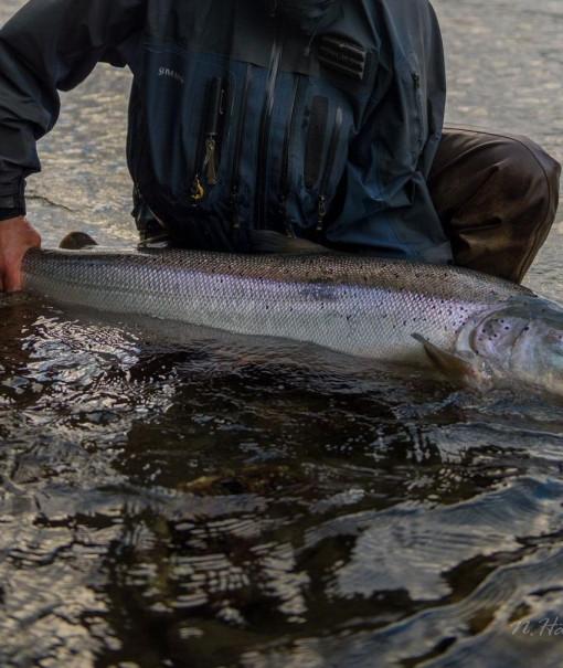 Kalastaja pitelee käsissään kalasaalista