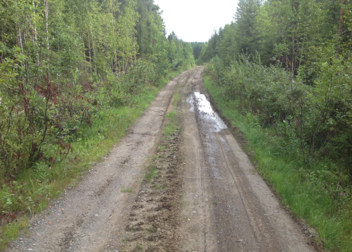 metsätie halkoo talousmetsää