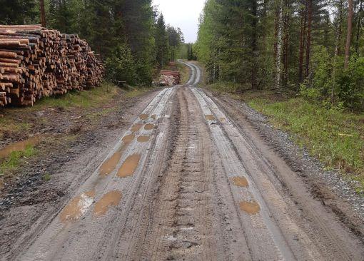 Metsätie halkoo talousmetsää, tien varressa tukkipino