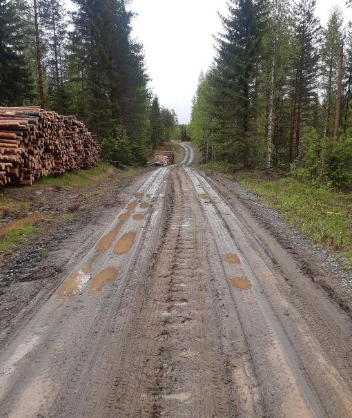 Metsätie halkoo talousmetsää, tien varressa tukkipino