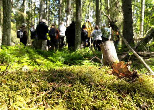 henkilöitä maastokoulutuksessa metsässä