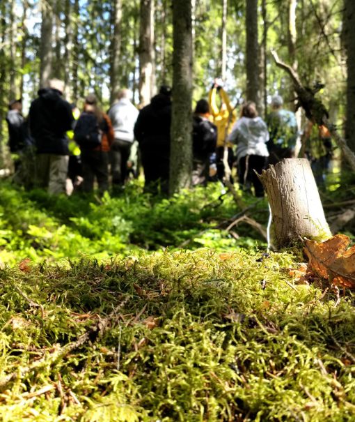 henkilöitä maastokoulutuksessa metsässä